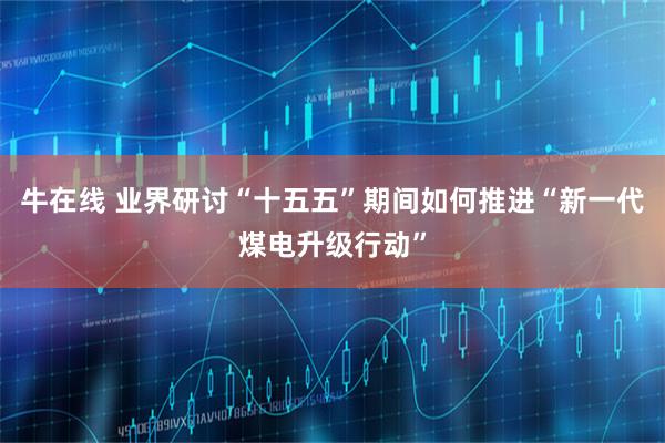 牛在线 业界研讨“十五五”期间如何推进“新一代煤电升级行动”